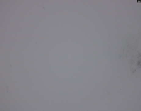 Heilbronner Hütte: Patriol