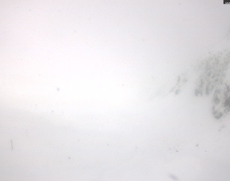 Heilbronner Hütte: Patriol