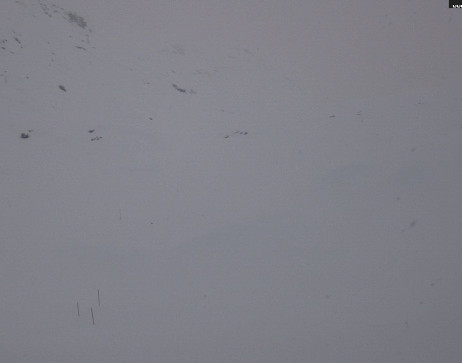 Heilbronner Hütte: Scheidsee