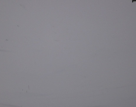 Heilbronner Hütte: Scheidsee