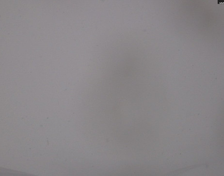 Heilbronner Hütte: Scheidsee