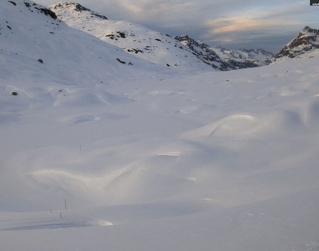Heilbronner Hütte: Scheidsee