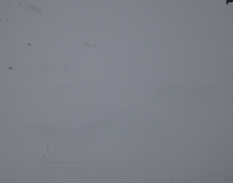 Heilbronner Hütte: Scheidsee