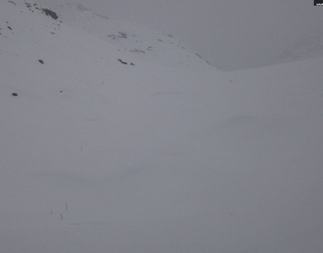 Heilbronner Hütte: Scheidsee