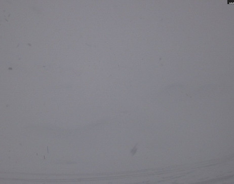 Heilbronner Hütte: Scheidsee