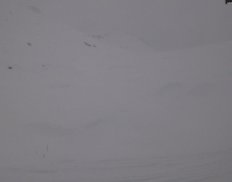 Heilbronner Hütte: Scheidsee