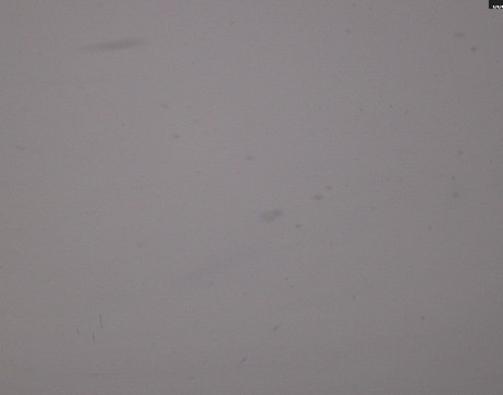 Heilbronner Hütte: Scheidsee