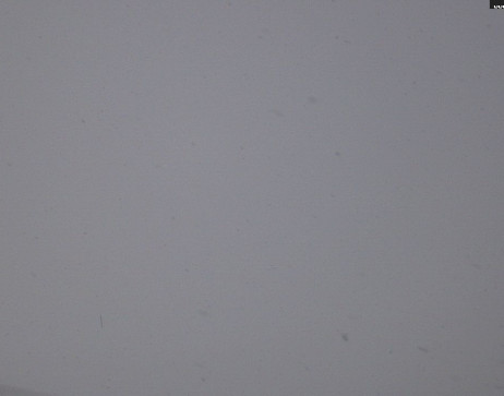 Heilbronner Hütte: Scheidsee