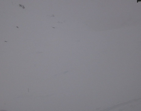 Heilbronner Hütte: Scheidsee