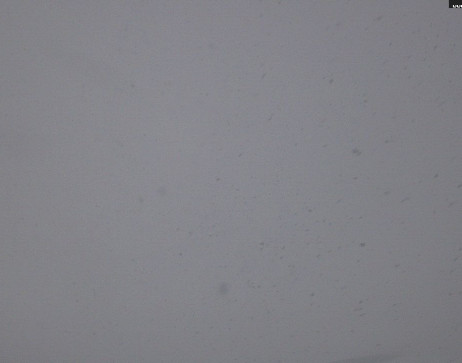 Heilbronner Hütte: Scheidsee