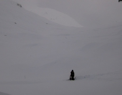 Heilbronner Hütte: Scheidsee