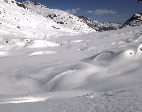 Heilbronner Hütte: Scheidsee