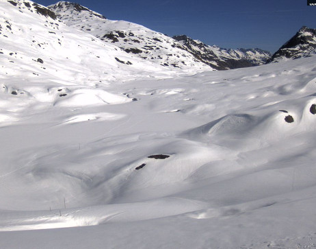 Heilbronner Hütte: Scheidsee