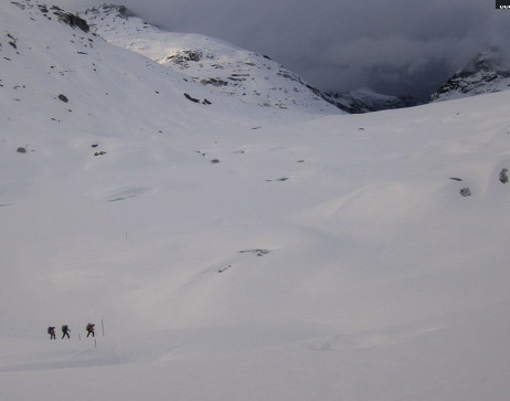 Heilbronner Hütte: Scheidsee