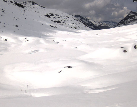 Heilbronner Hütte: Scheidsee