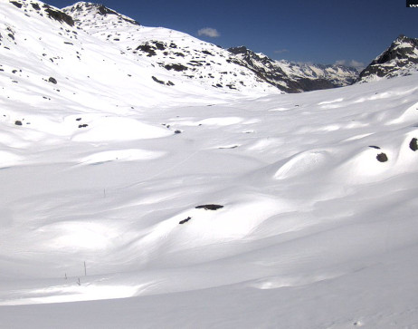 Heilbronner Hütte: Scheidsee