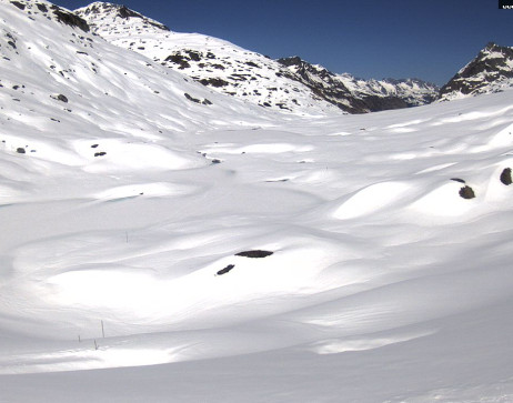 Heilbronner Hütte: Scheidsee