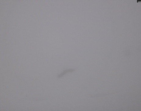 Heilbronner Hütte: Scheidsee