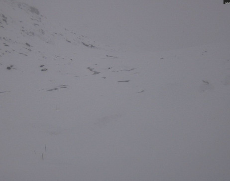 Heilbronner Hütte: Scheidsee