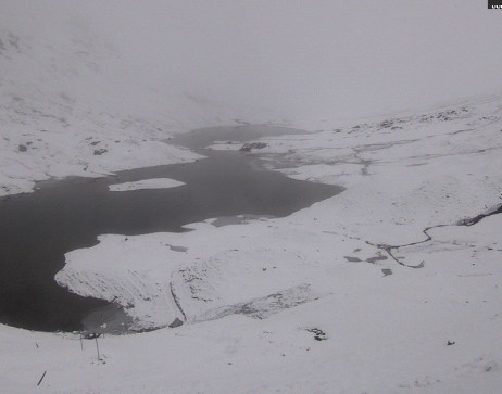 Heilbronner Hütte: Scheidsee