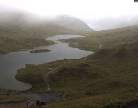 Heilbronner Hütte: Scheidsee