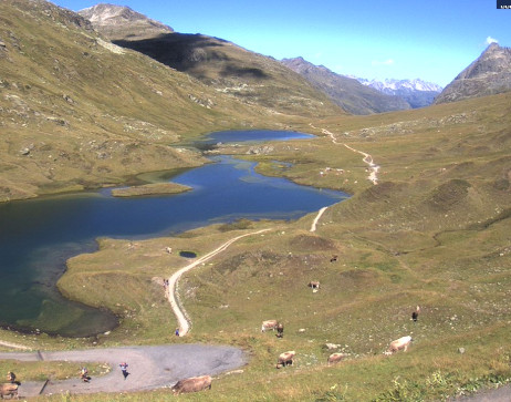 Heilbronner Hütte: Scheidsee