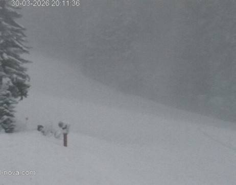 Gaschurn: Blick zur Talabfahrt