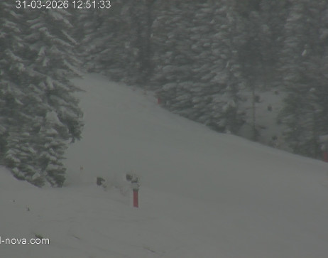 Gaschurn: Blick zur Talabfahrt