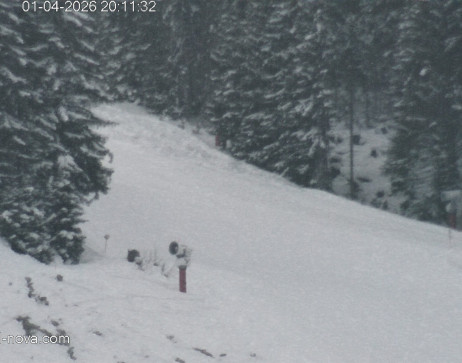 Gaschurn: Blick zur Talabfahrt