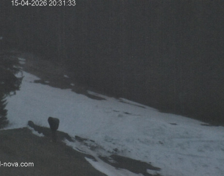 Gaschurn: Blick zur Talabfahrt