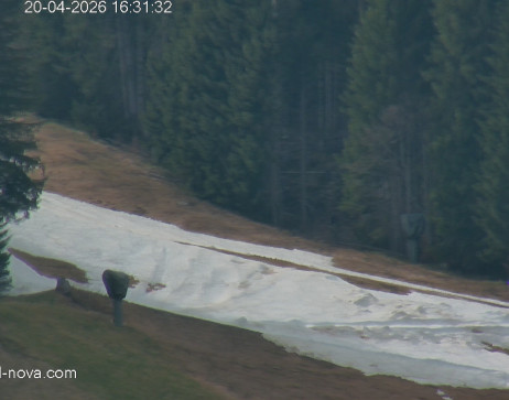 Gaschurn: Blick zur Talabfahrt