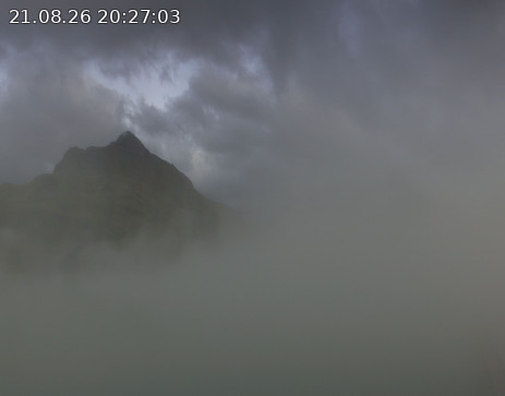 Silvretta Bielerhöhe: Silvretta Stausee