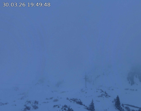 Silvretta Bielerhöhe: Zeinisjoch