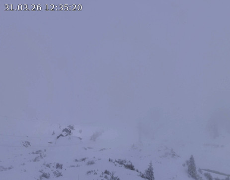 Silvretta Bielerhöhe: Zeinisjoch